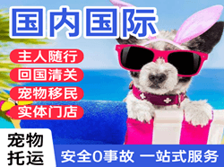 朔州航空空运国际宠物托运 【国